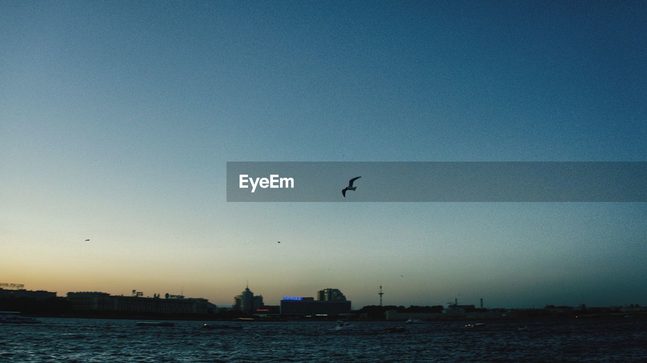 BIRDS FLYING OVER SEA AGAINST SKY