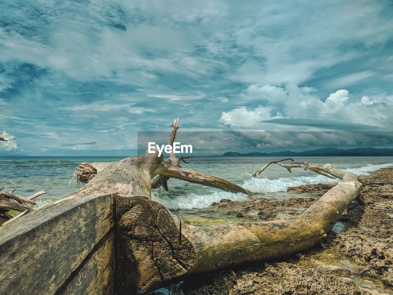 Driftwood at beach against sky