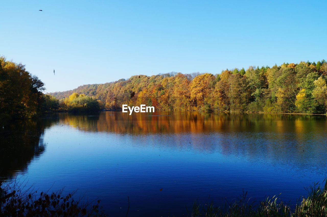 Scenic view of lake by trees against clear sky