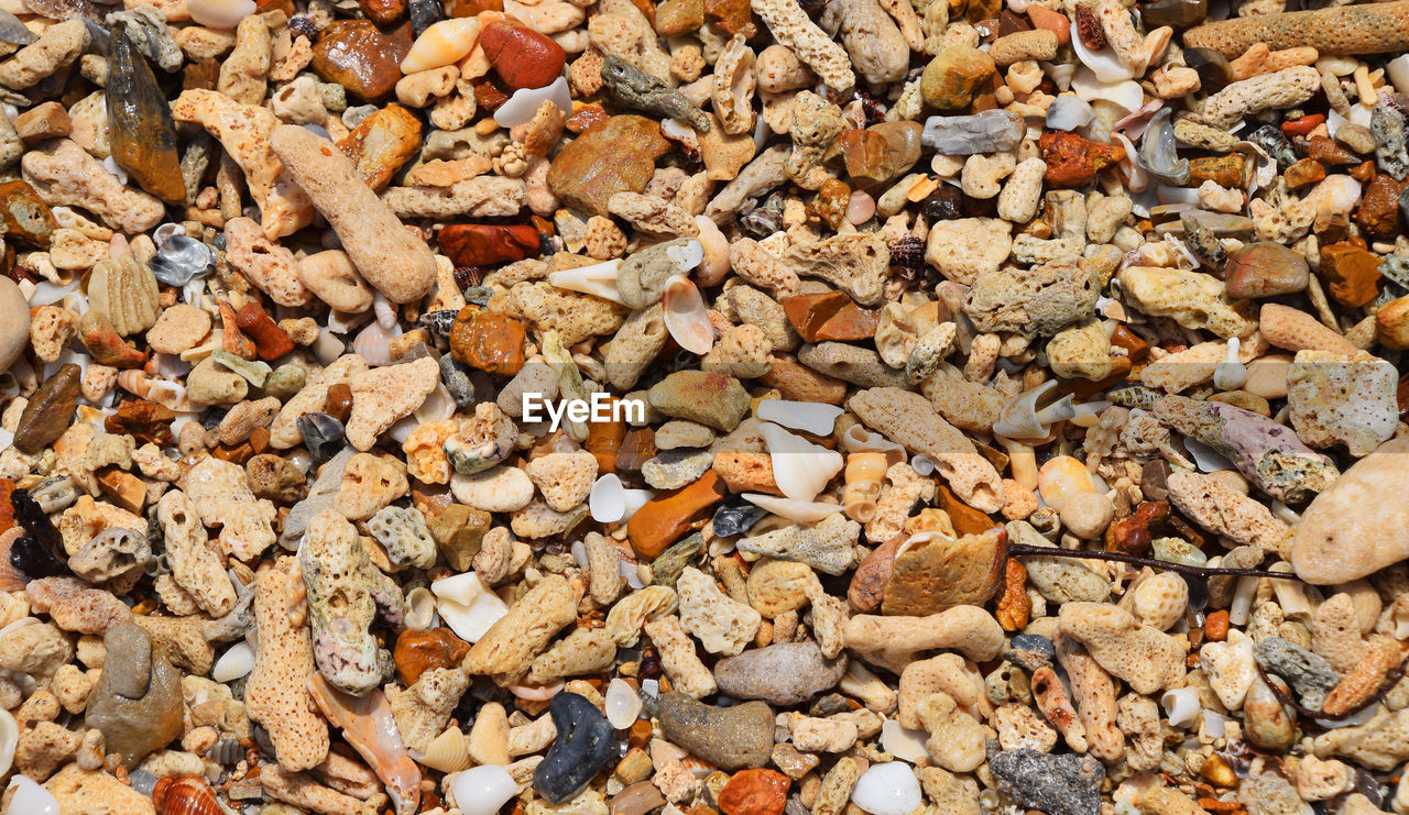 Full frame shot of dry leaves