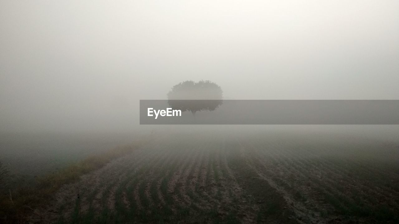 SCENIC VIEW OF FIELD AGAINST SKY IN FOGGY WEATHER