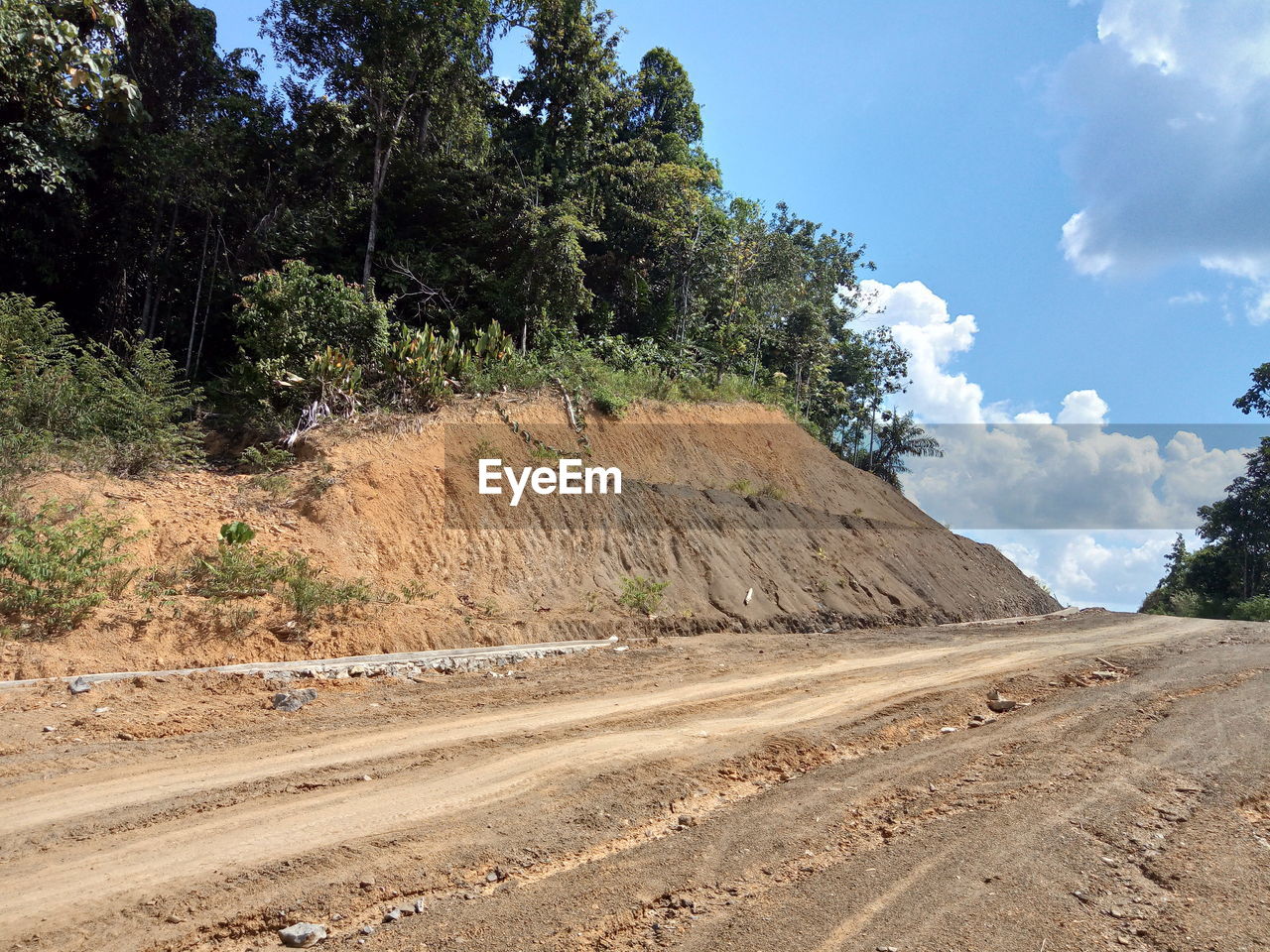 Dirt road amidst trees against sky