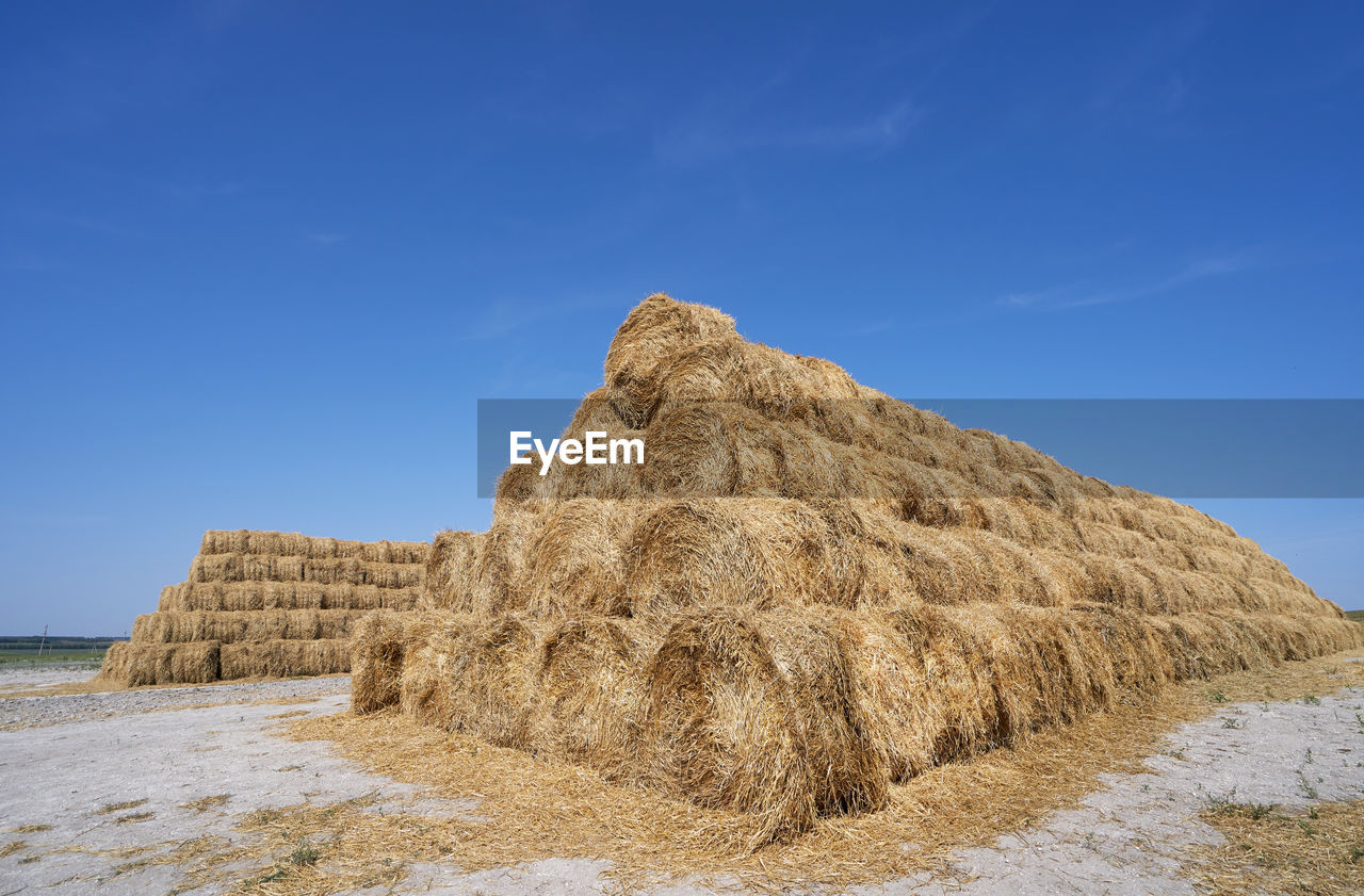 HAY BALES IN FIELD AGAINST BLUE SKY