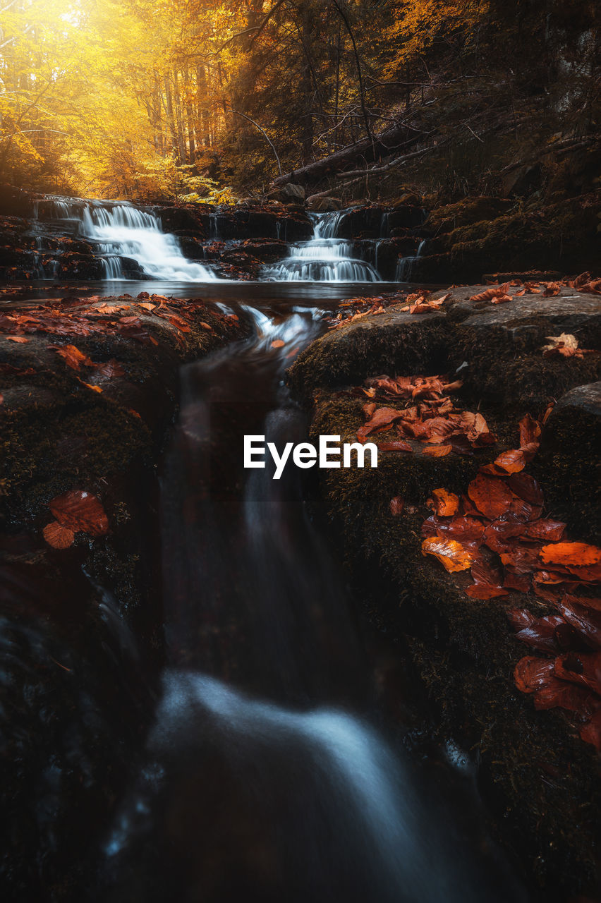 WATER FLOWING THROUGH ROCKS IN FOREST