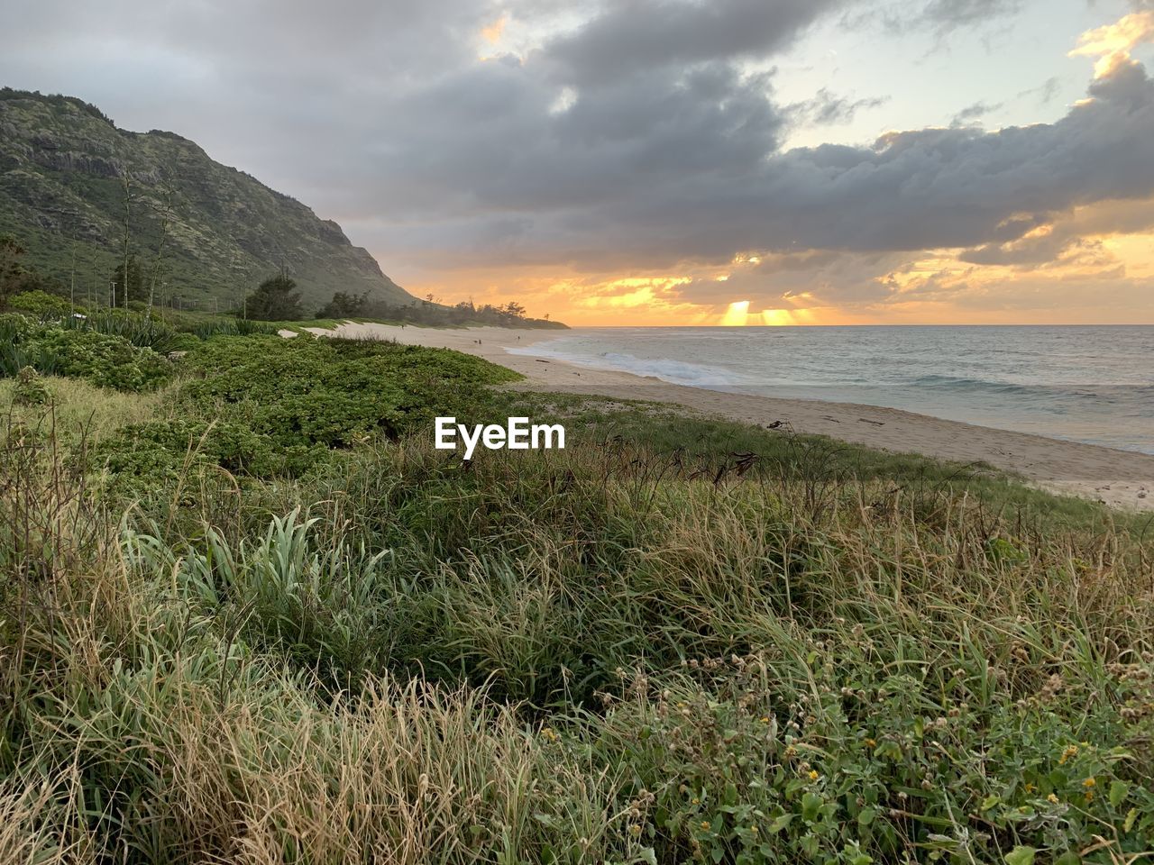 Beautiful sunset in mokuleia, oahu hawaii 