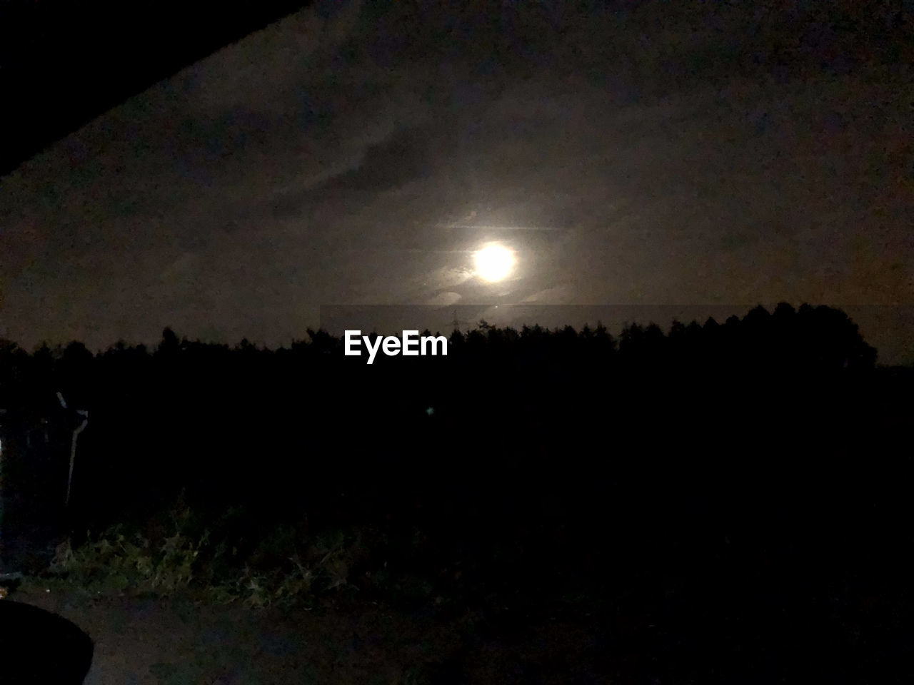 SILHOUETTE OF TREES AT NIGHT