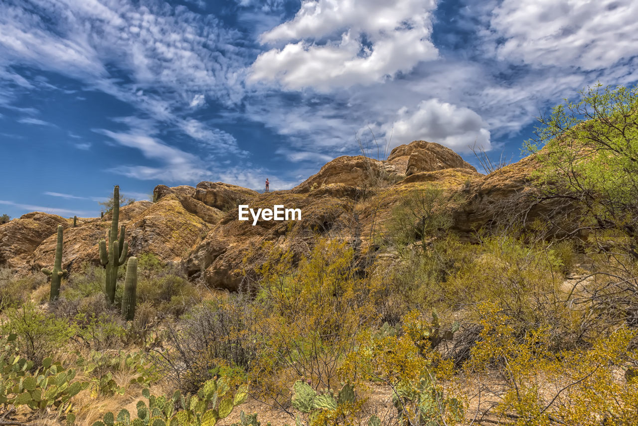 SCENIC VIEW OF LAND AGAINST SKY