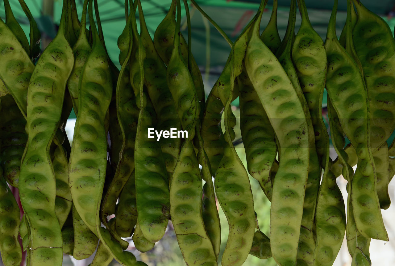 Green petai beans on market stall