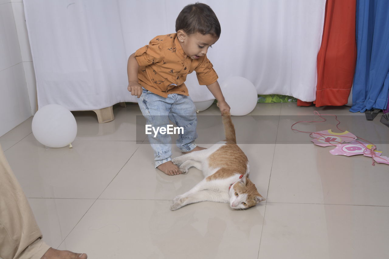 Cute boy playing with cat at home
