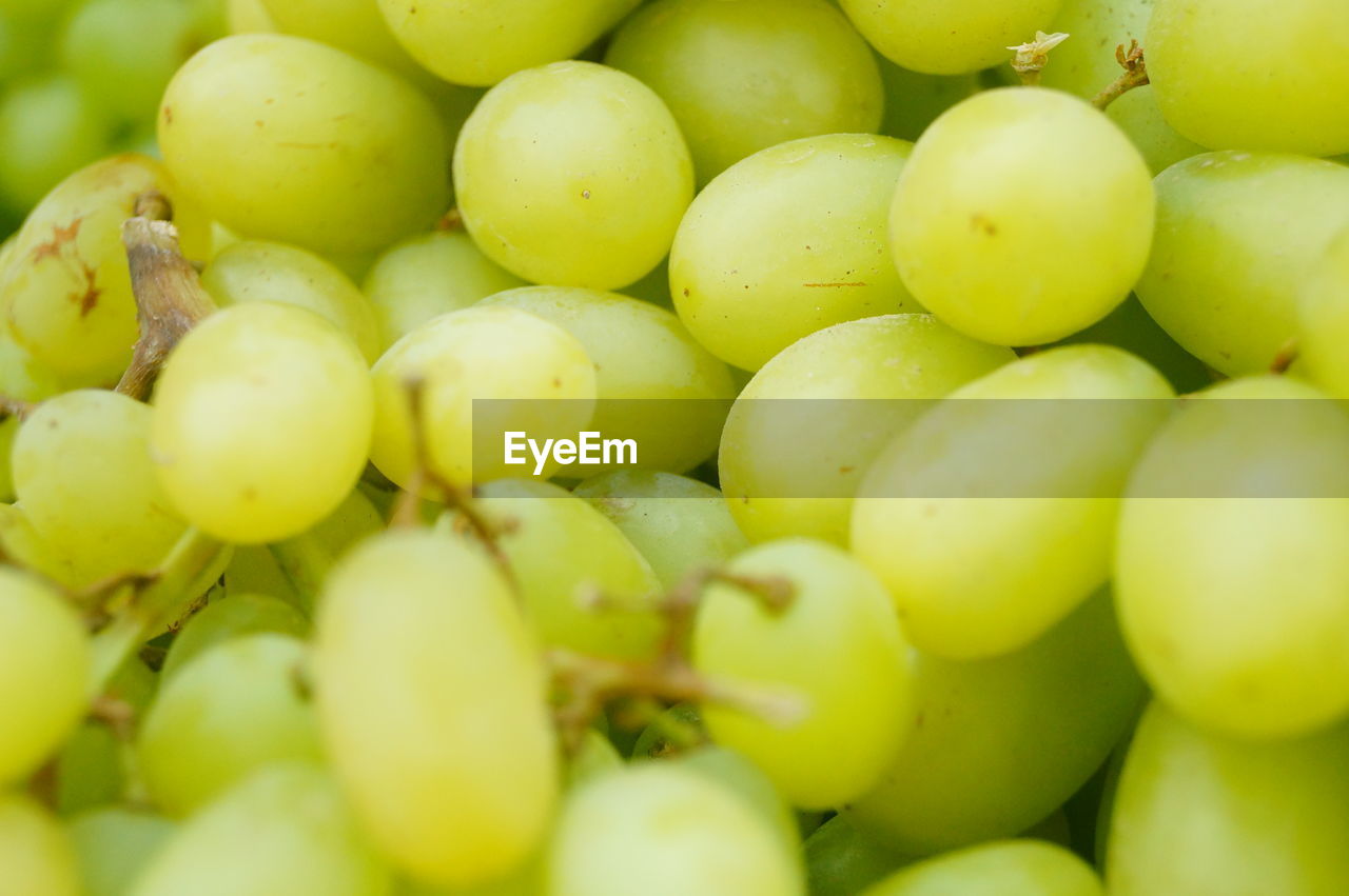 FULL FRAME SHOT OF GRAPES IN GREEN BACKGROUND