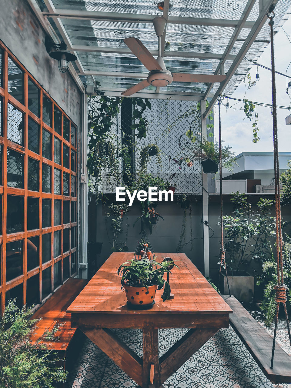 POTTED PLANT ON TABLE AGAINST BUILDING