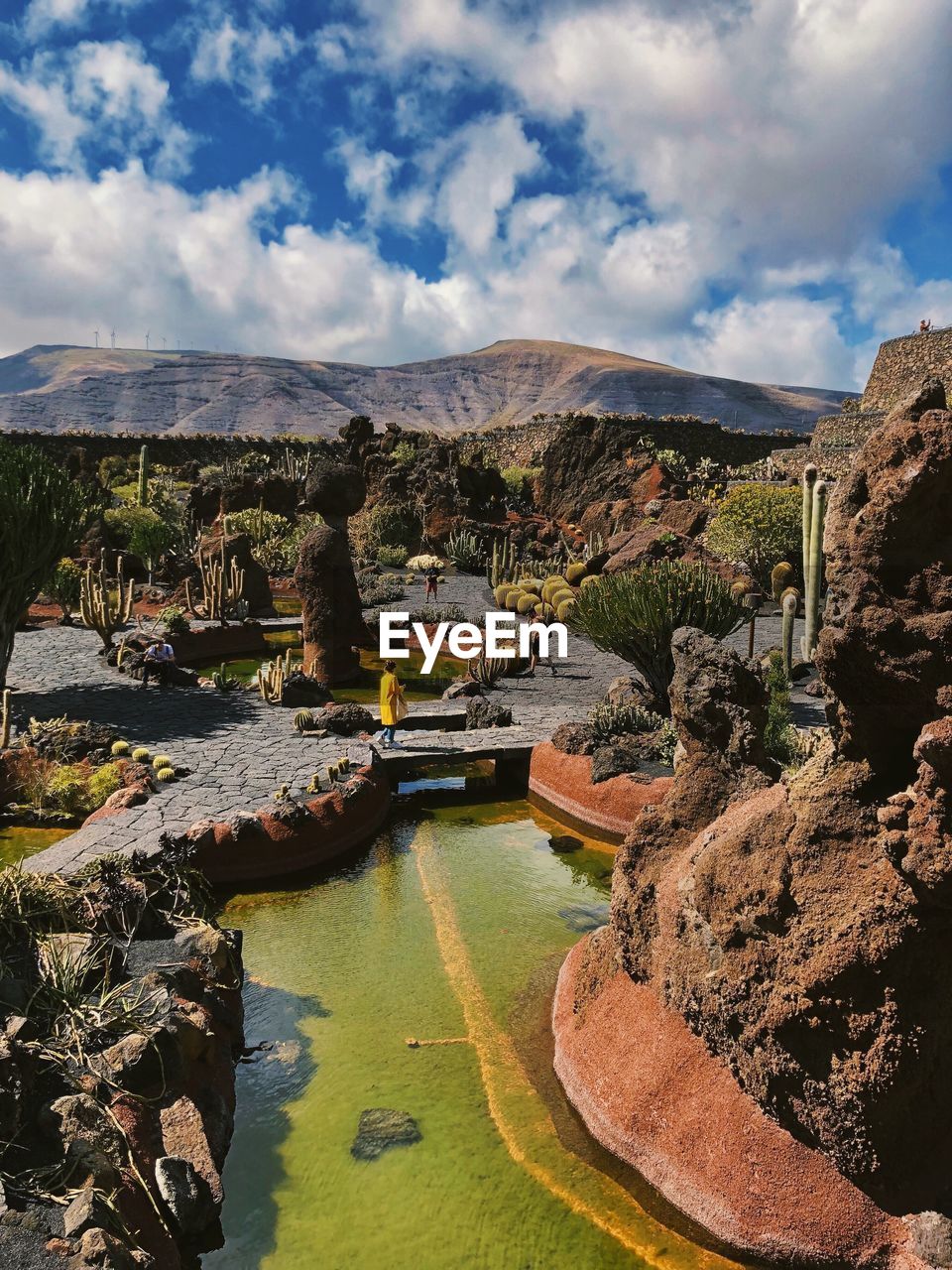 Scenic view cactus garden in lanzarote against cloudy sky