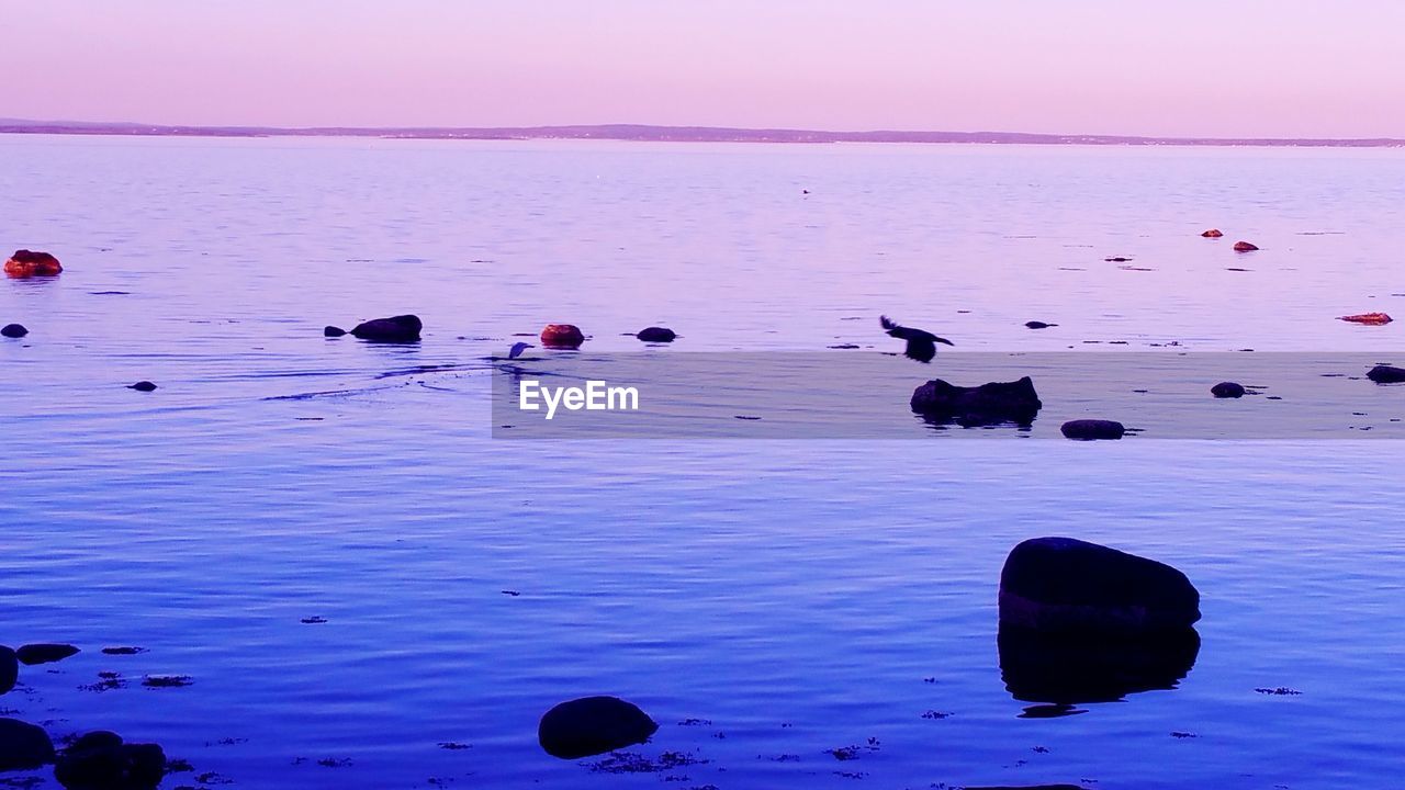 SCENIC VIEW OF SEA SHORE AGAINST SKY