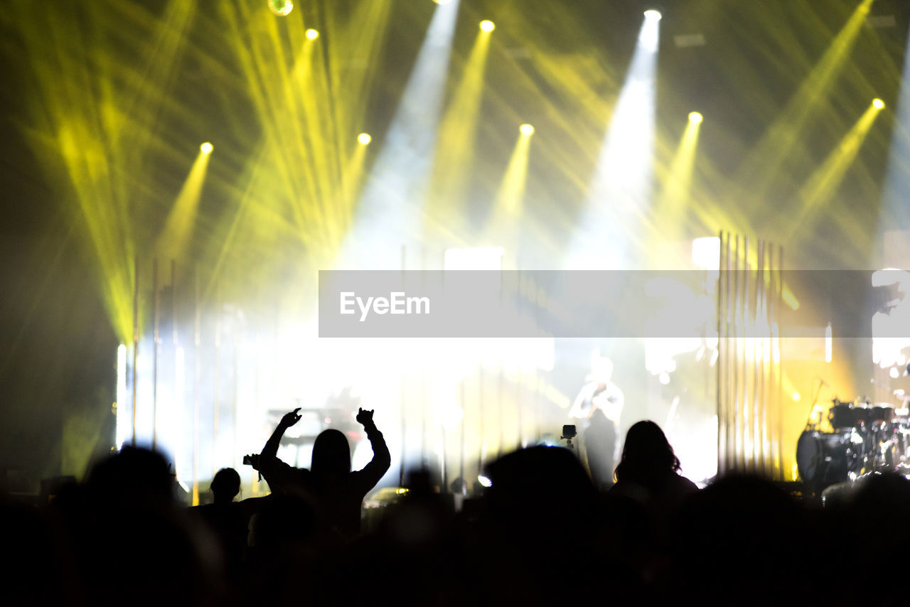 Group of people at music concert