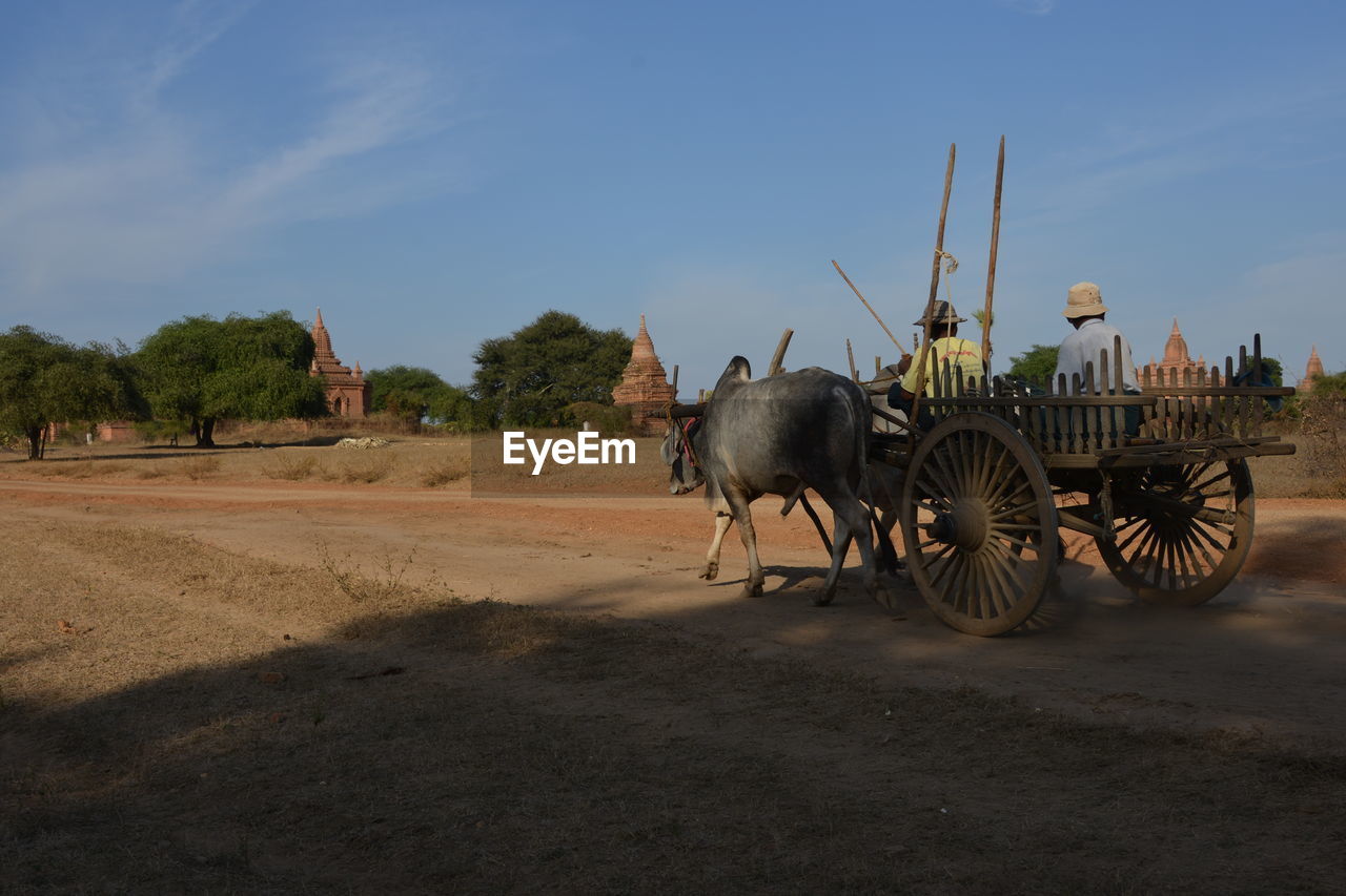 HORSE CART ON STREET