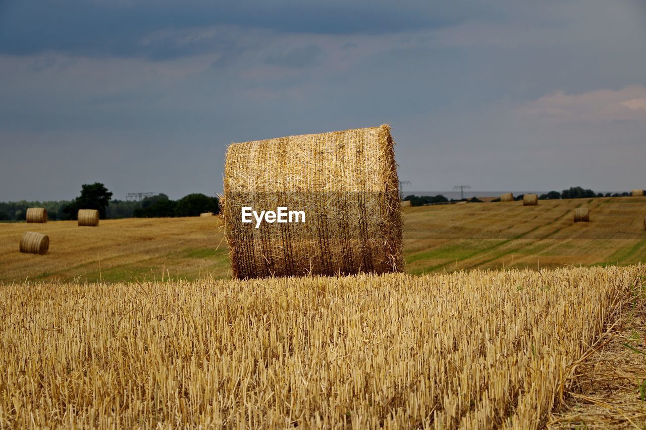 Hay bales on field at farm against sky