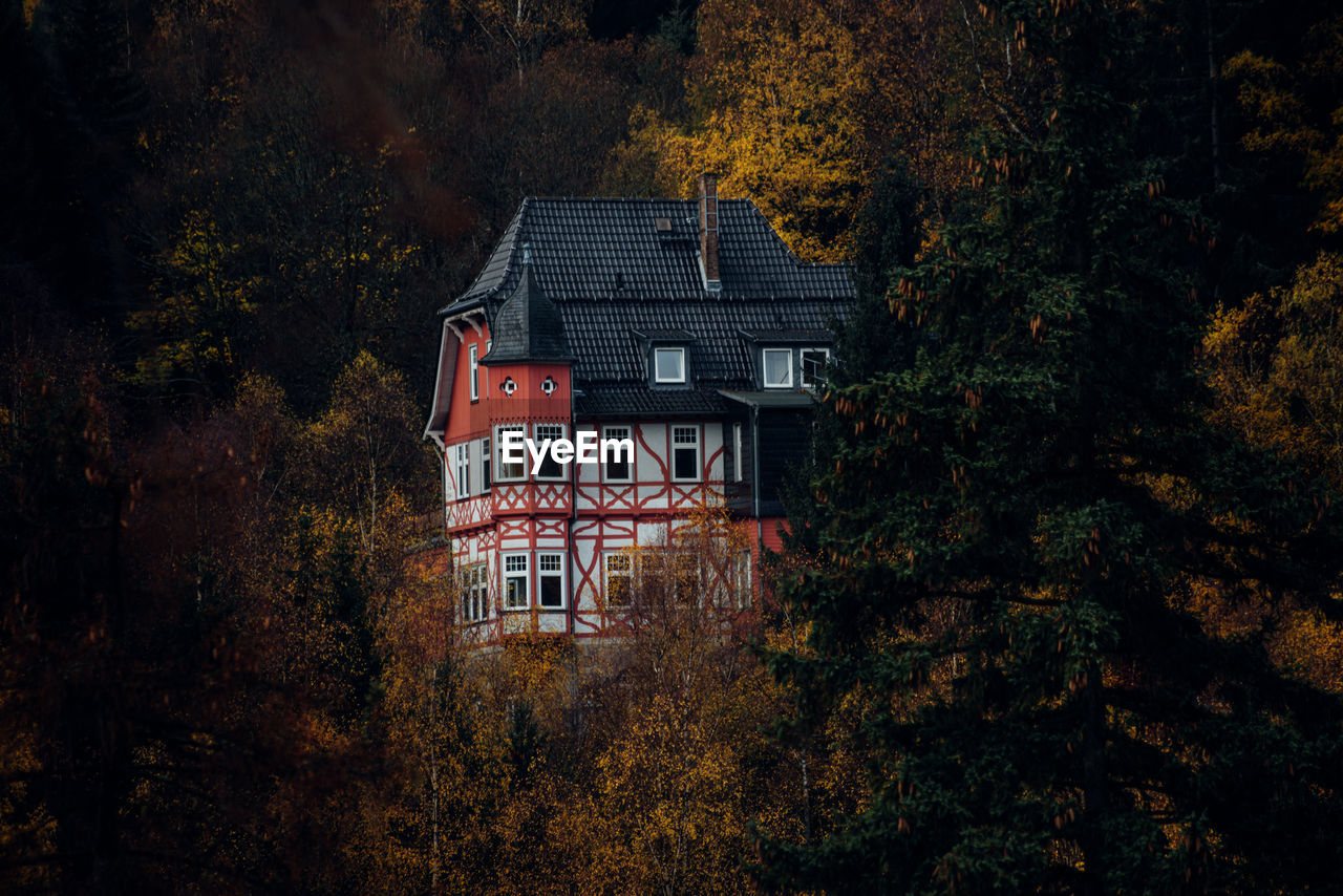 House by trees in forest during autumn