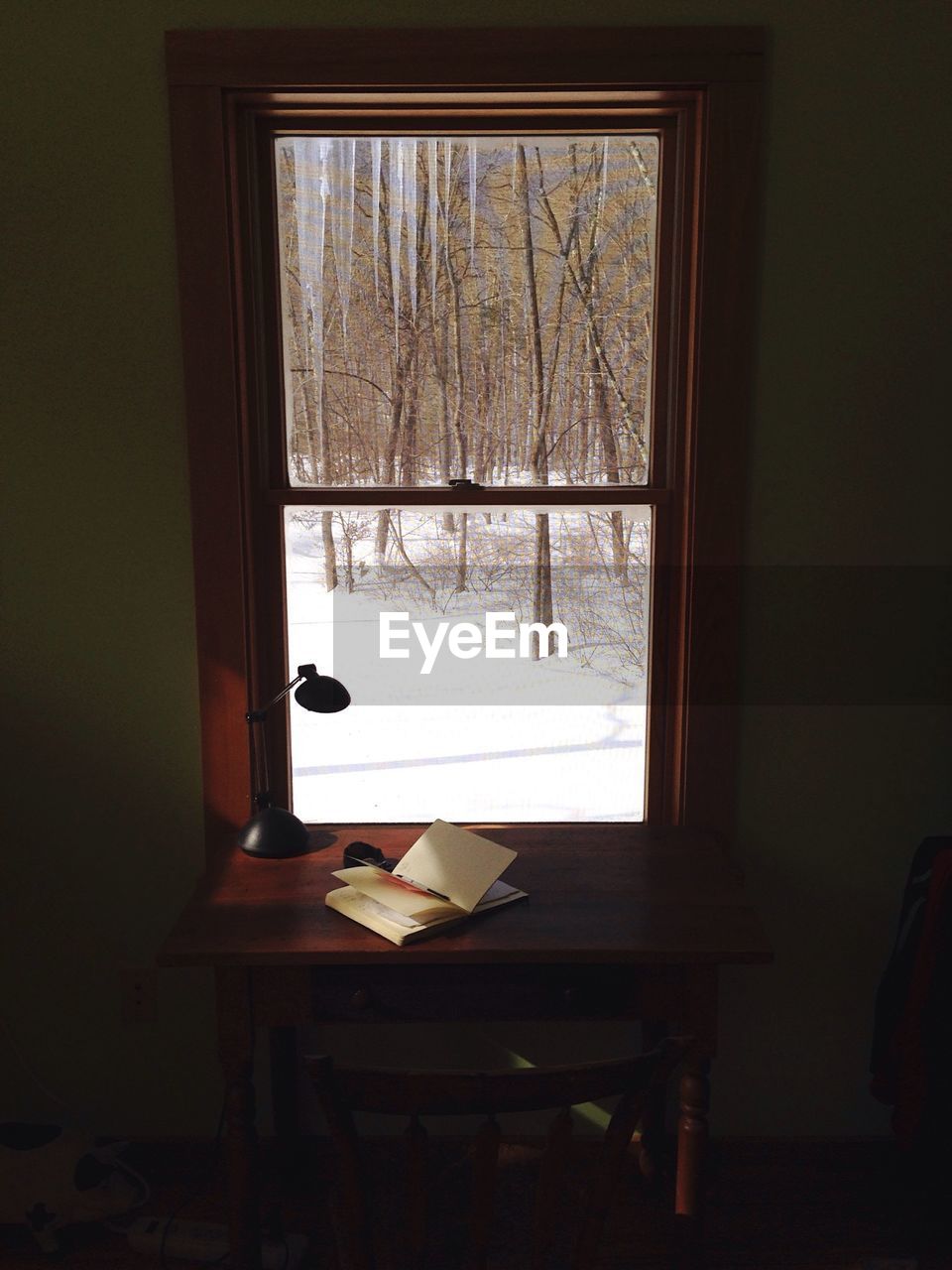 Desk lamp and book by window by snow covered forest