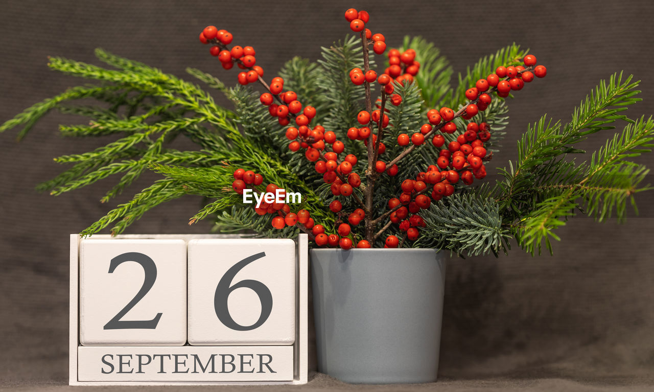 Memory and important date september 26, desk calendar - autumn season.