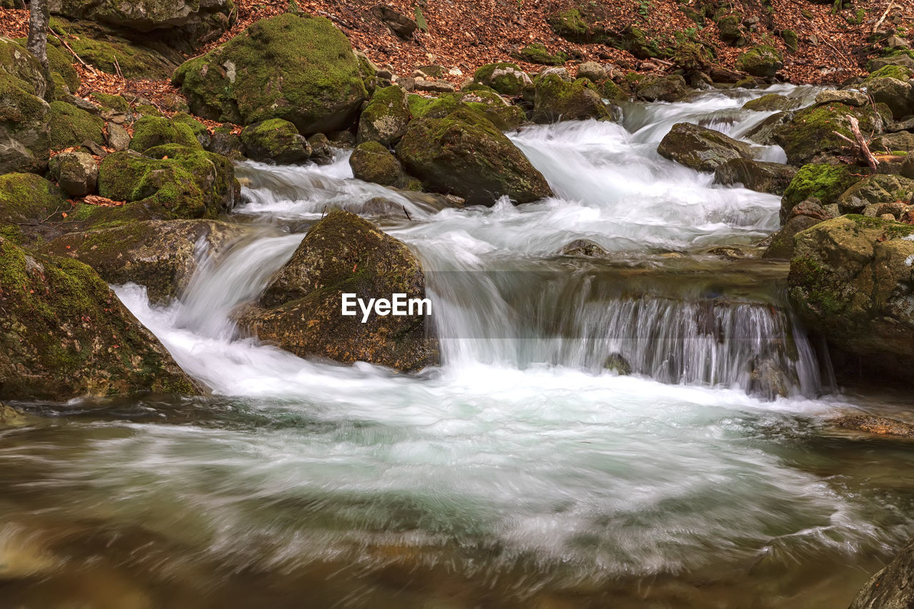 Close up of water in the river with rocks in a forest