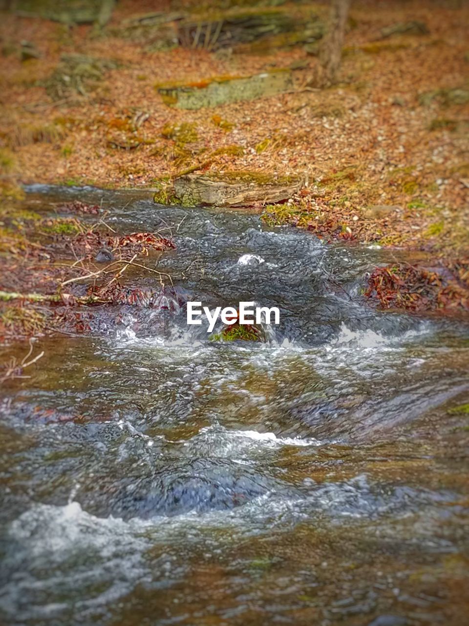 HIGH ANGLE VIEW OF WATER IN AUTUMN LEAVES