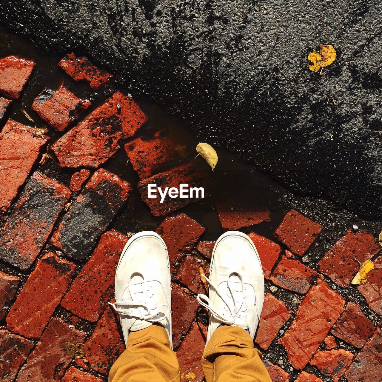 LOW SECTION OF WOMAN STANDING ON GROUND