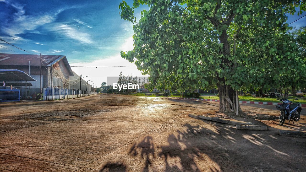 TREES IN FRONT OF BUILDING