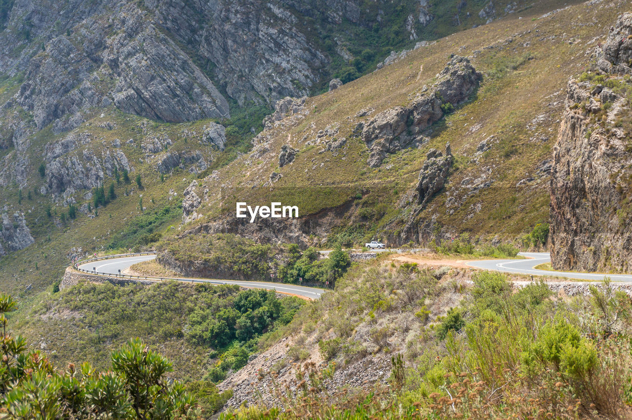 High angle view of road amidst trees