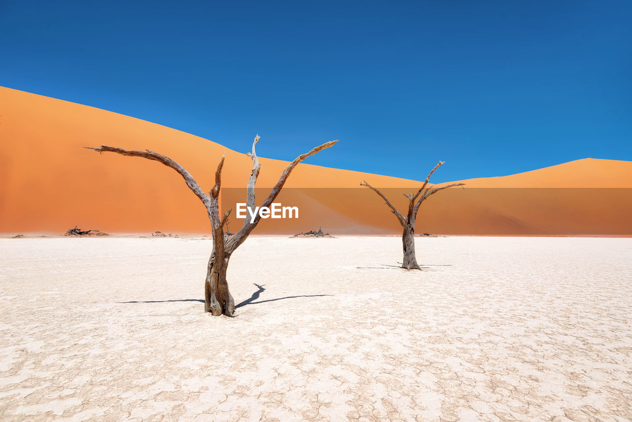 Scenic view of desert against clear sky