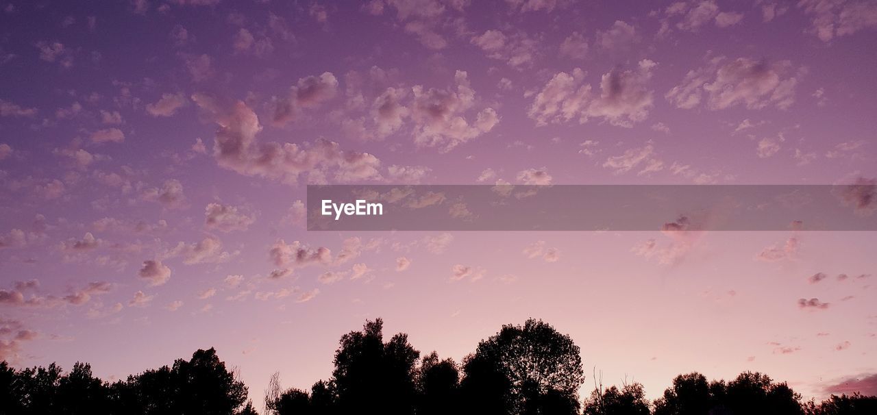 Low angle view of silhouette trees against sky during sunset