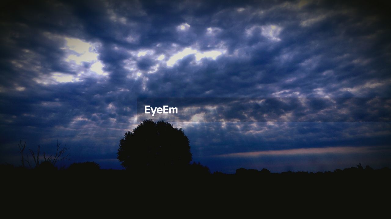 SILHOUETTE OF TREES AGAINST CLOUDY SKY AT DUSK