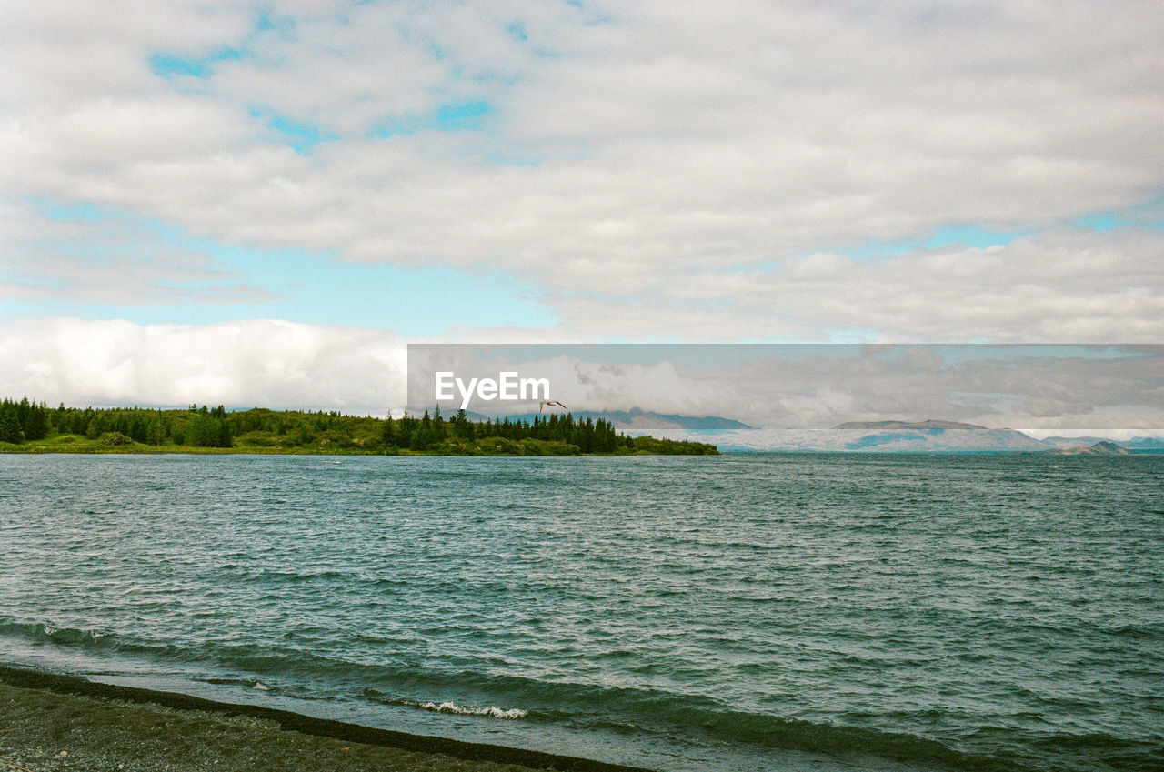 water, shore, cloud, sky, horizon, body of water, sea, land, scenics - nature, ocean, beach, beauty in nature, nature, coast, environment, wave, tranquility, bay, tranquil scene, day, no people, travel destinations, landscape, travel, outdoors, coastline, tourism, tree, non-urban scene, plant, vacation, trip, holiday, idyllic, sand, wind wave