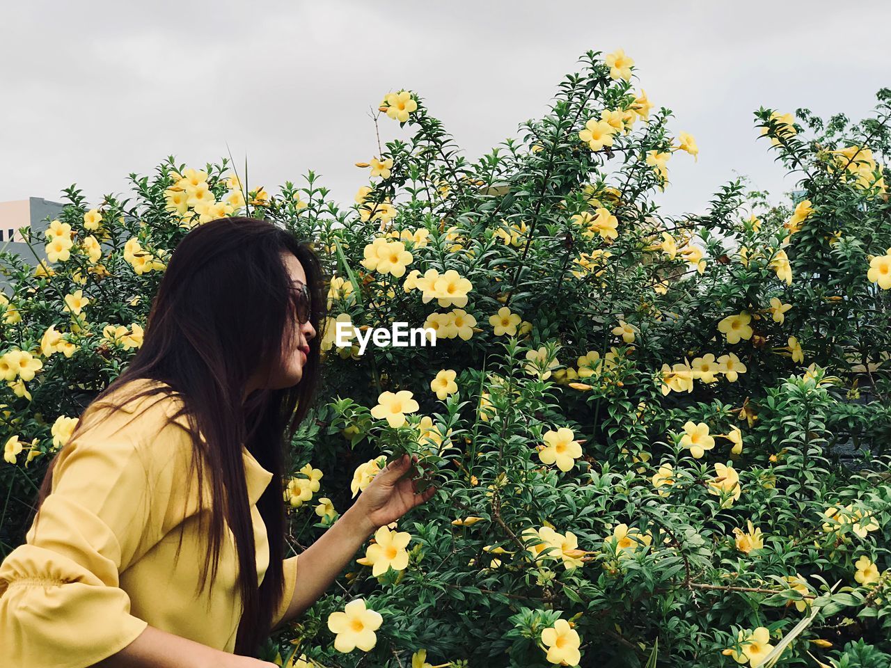 Side view of young woman against yellow flowering plants