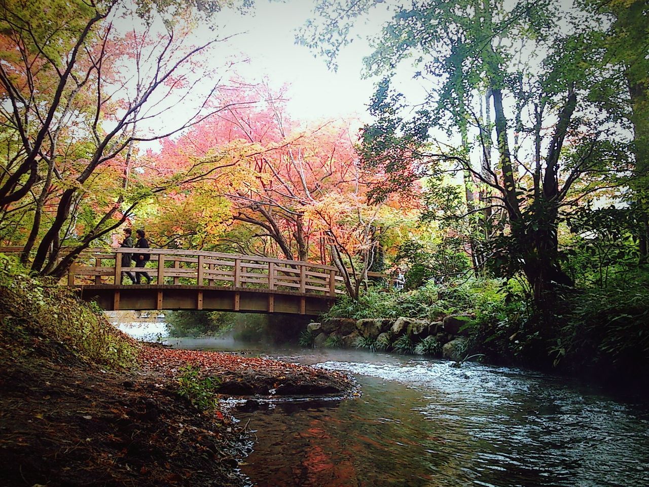 FOOTBRIDGE OVER RIVER