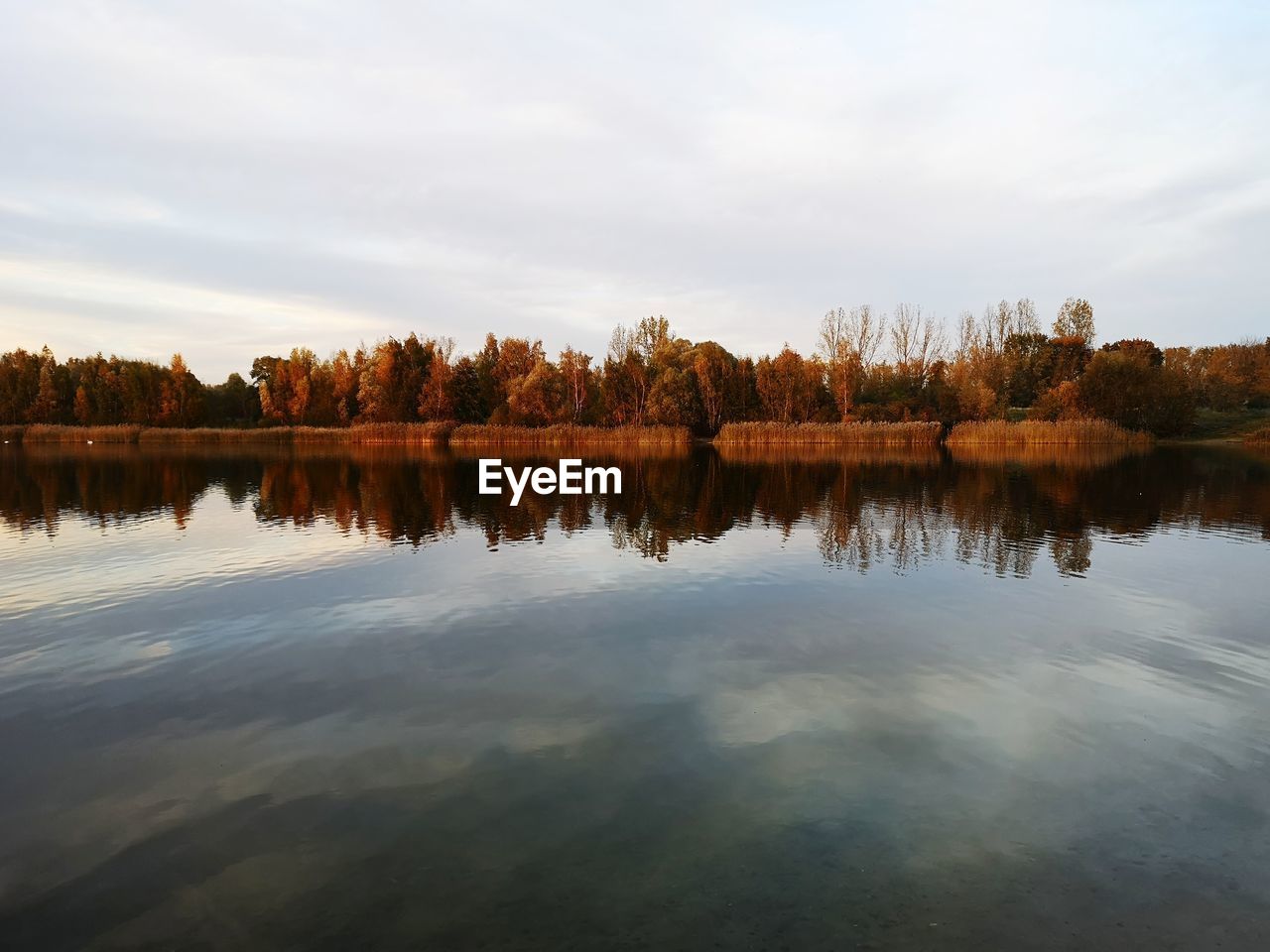 REFLECTION OF TREES ON LAKE AGAINST SKY