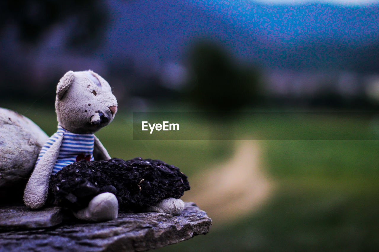 Close-up of abandoned toy on stone