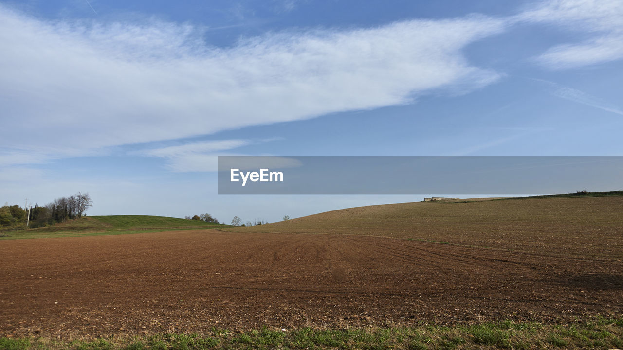 FIELD AGAINST SKY