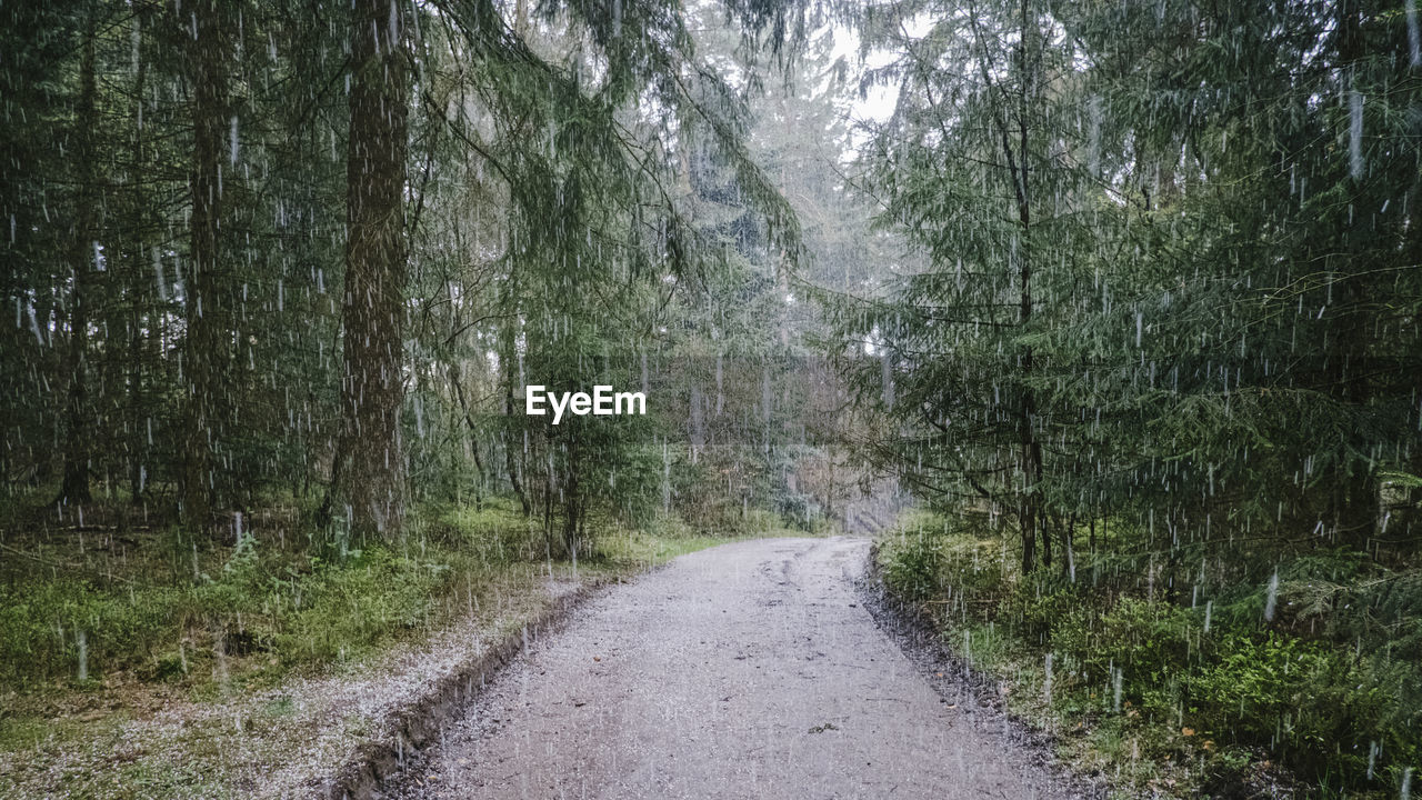 Heavy rainfall during a gravel bike tour in the forest