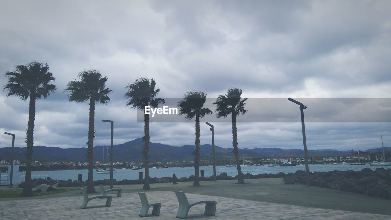 Palm trees against cloudy sky