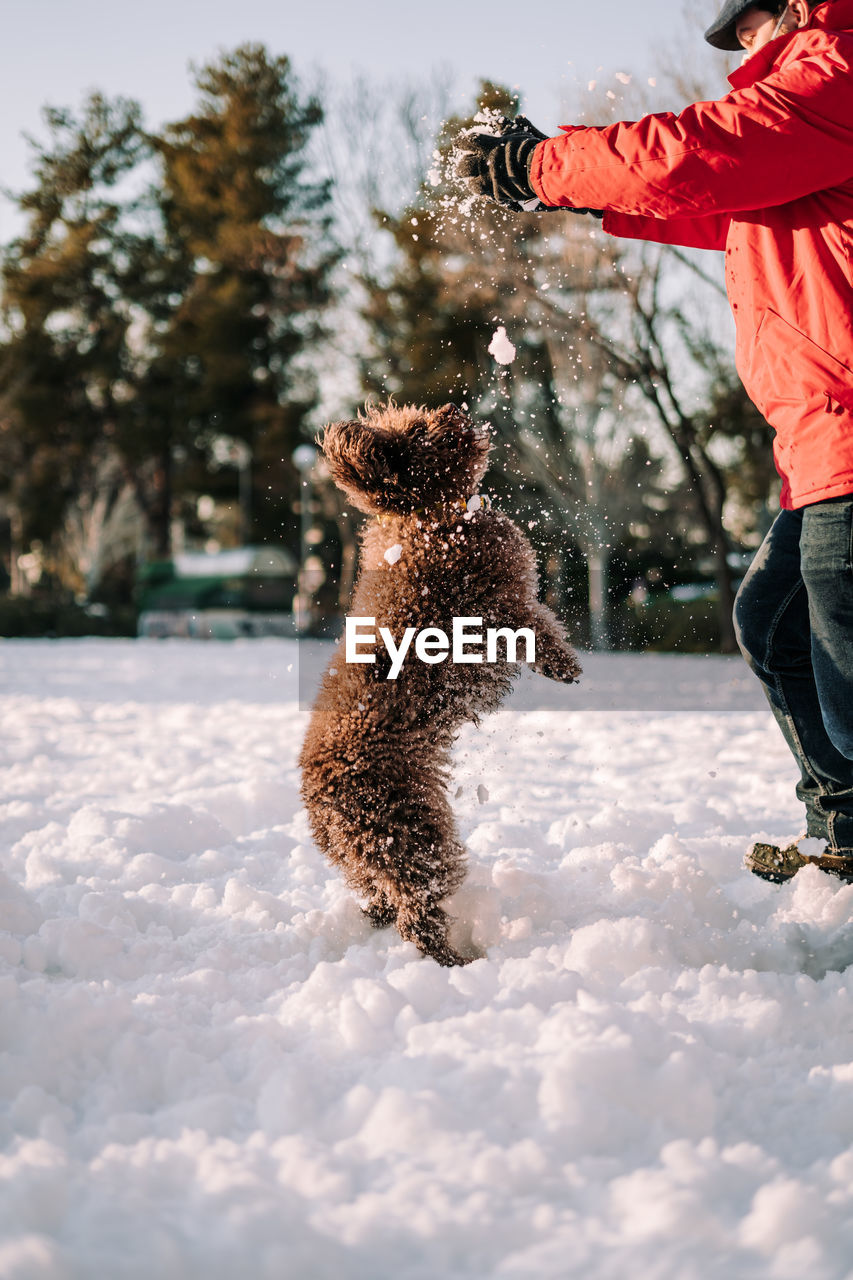 VIEW OF DOG IN SNOW