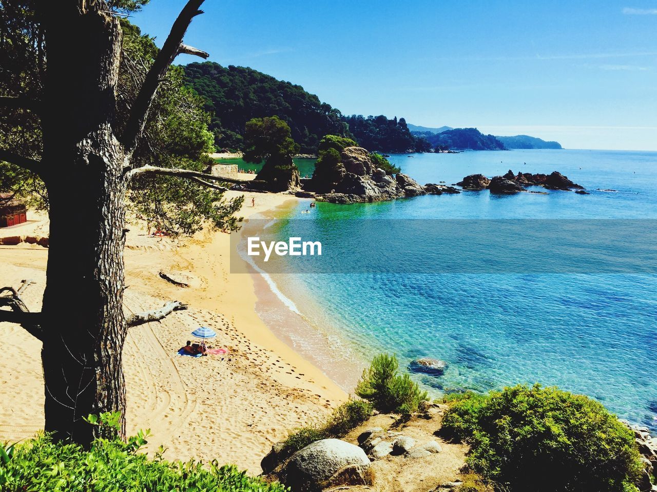 SCENIC VIEW OF BEACH AGAINST BLUE SKY