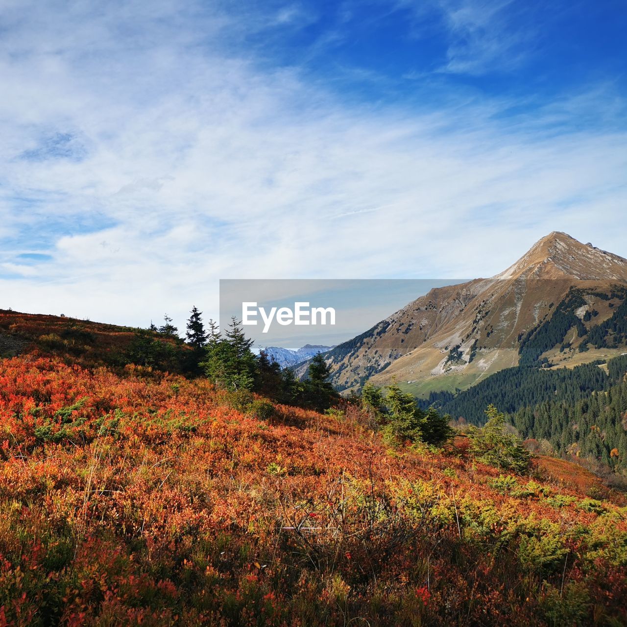 Scenic view of landscape and mountains against sky