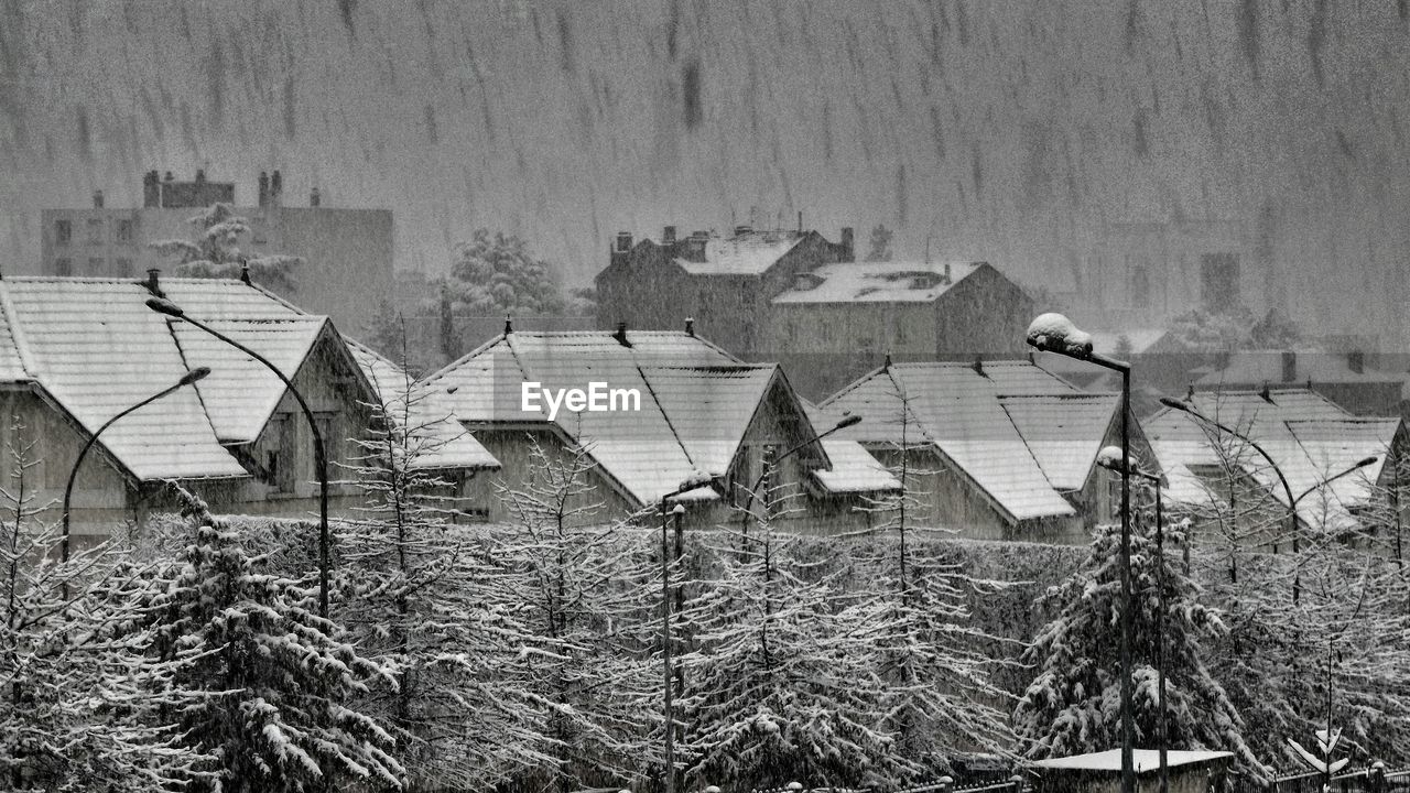 Snow covered houses and trees during snowfall