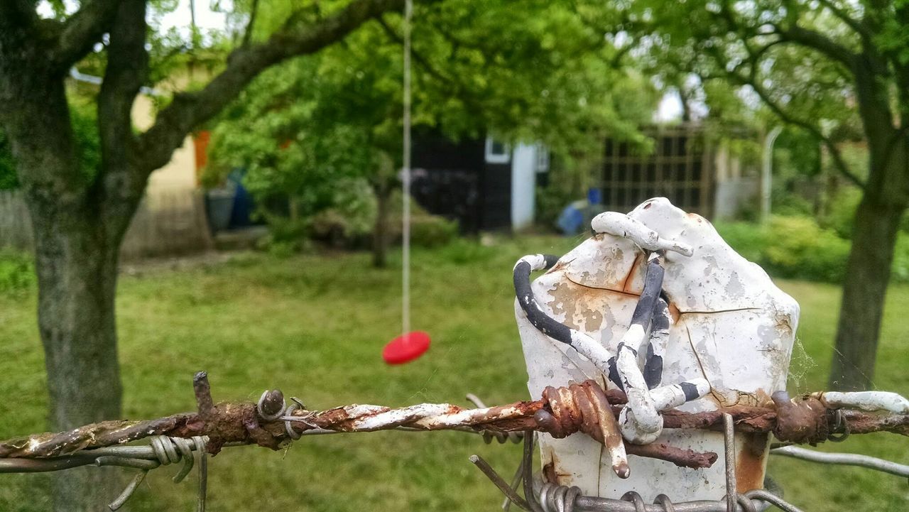 Close-up of rusty barbed wire in park