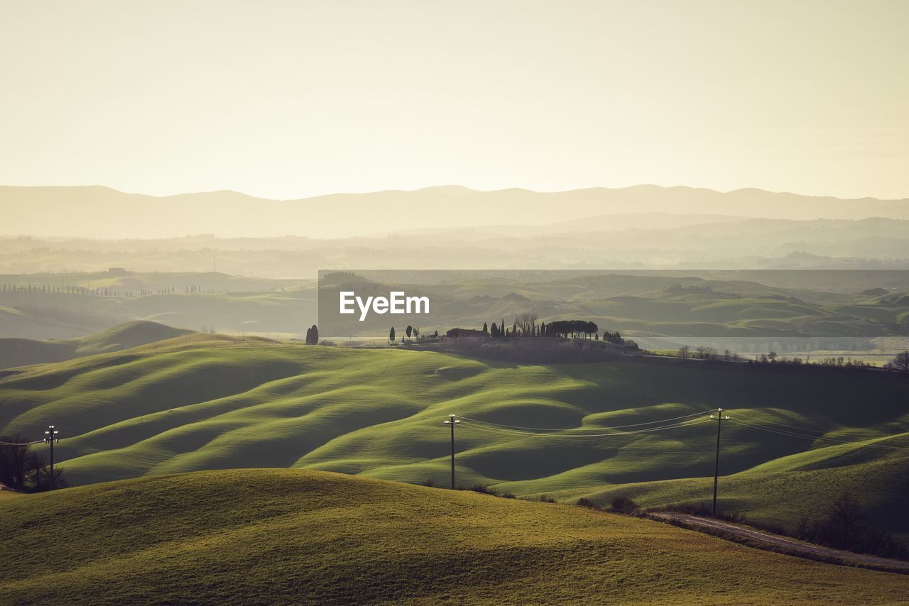Scenic view of agricultural field against sky