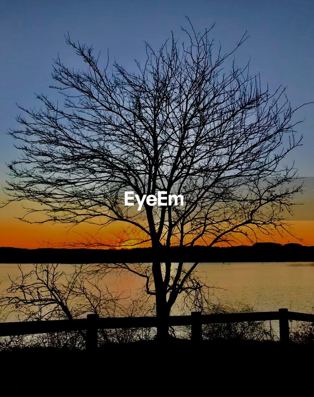 SILHOUETTE TREE BY LAKE AGAINST SKY DURING SUNSET