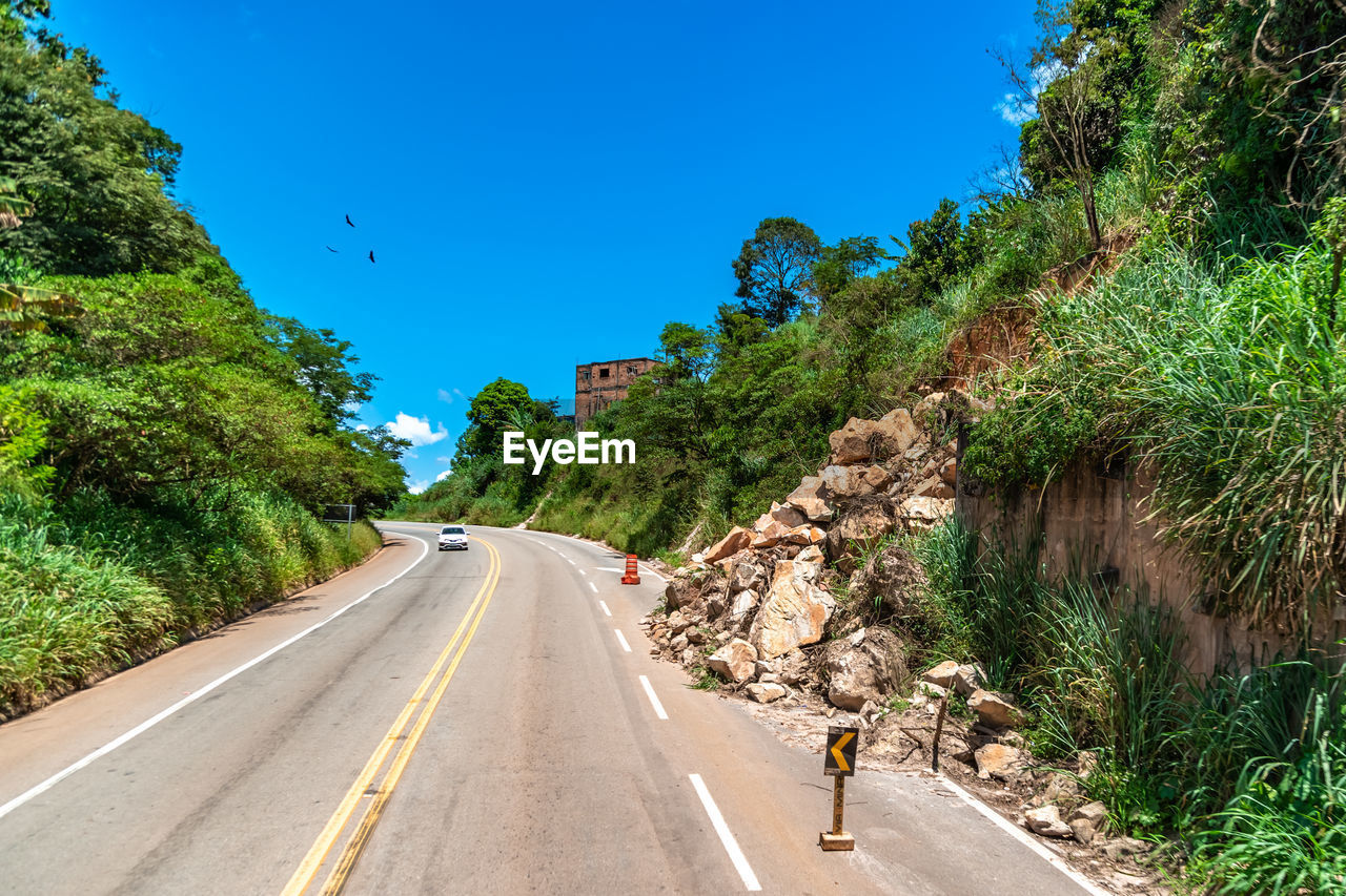 rear view of people walking on road