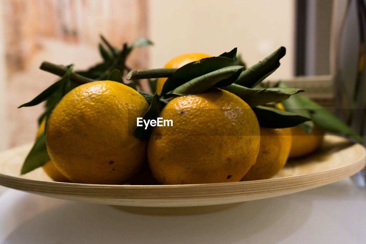 CLOSE-UP OF FRESH FRUITS IN BOWL