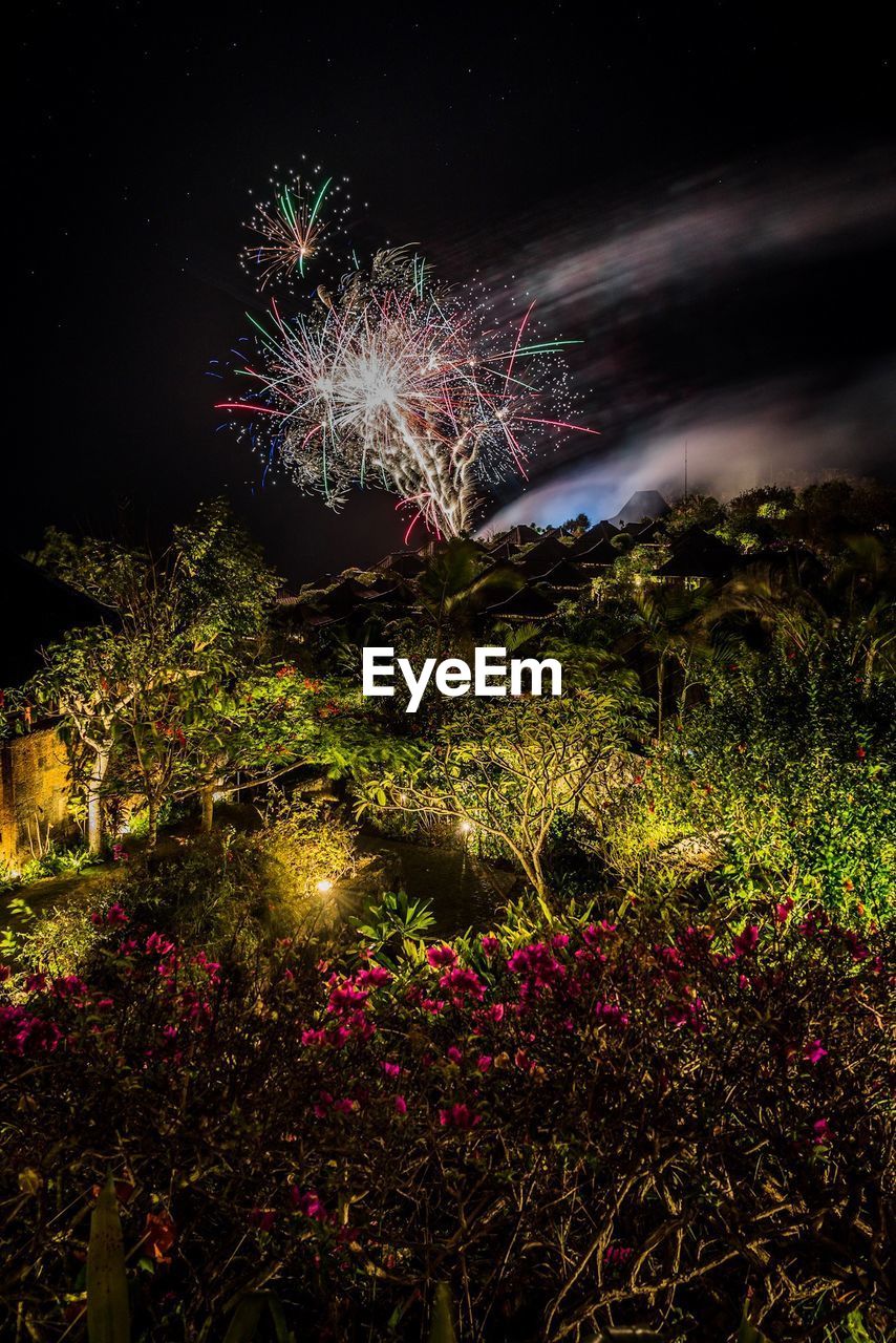 Flowers and trees against firework display at night