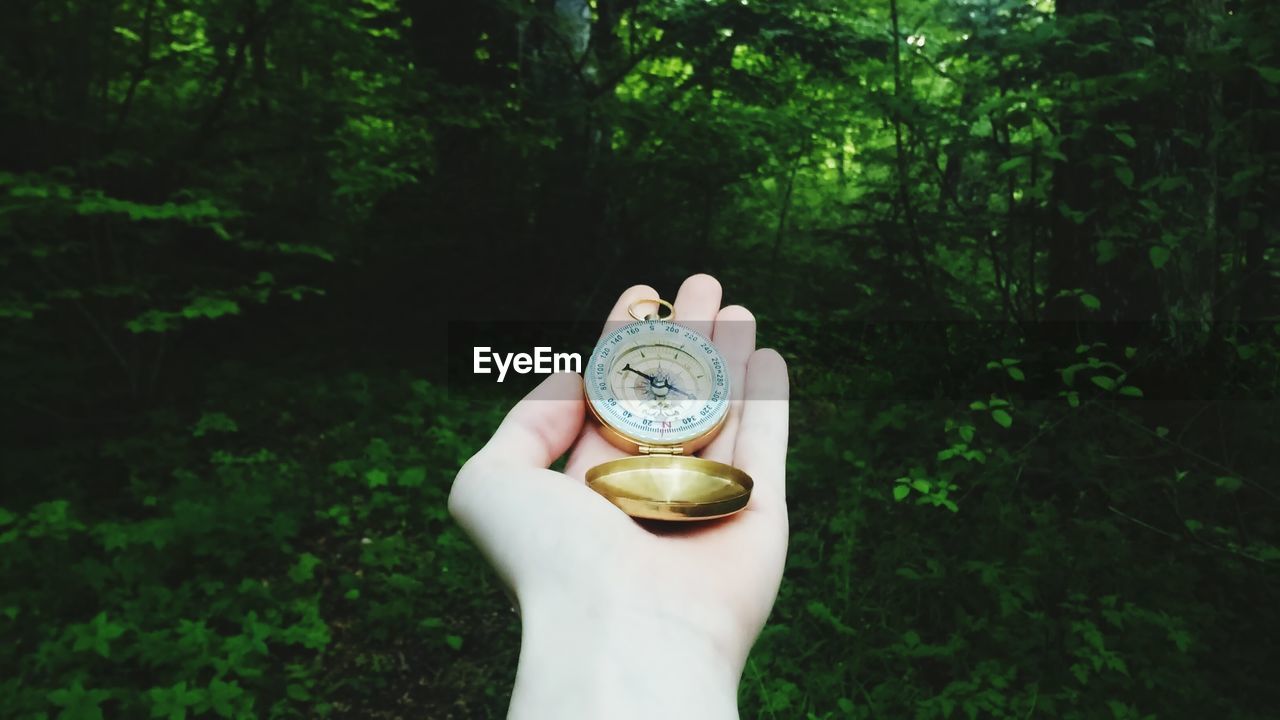 Cropped hand of person holding navigational compass against plants at forest